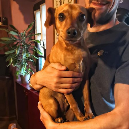 B&B Dove Comincia La Bella Italia Beura Экстерьер фото
